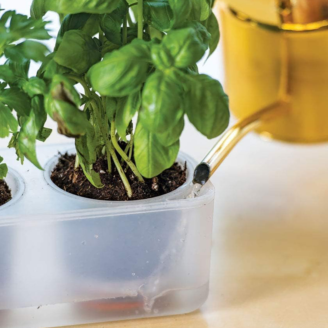 Boskke Self-Watering Planters - various sizes available