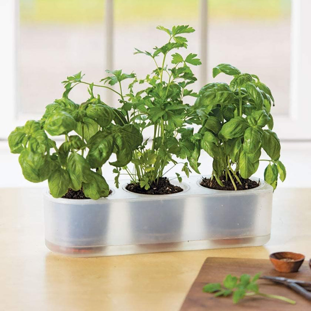 Boskke Self-Watering Planters - various sizes available