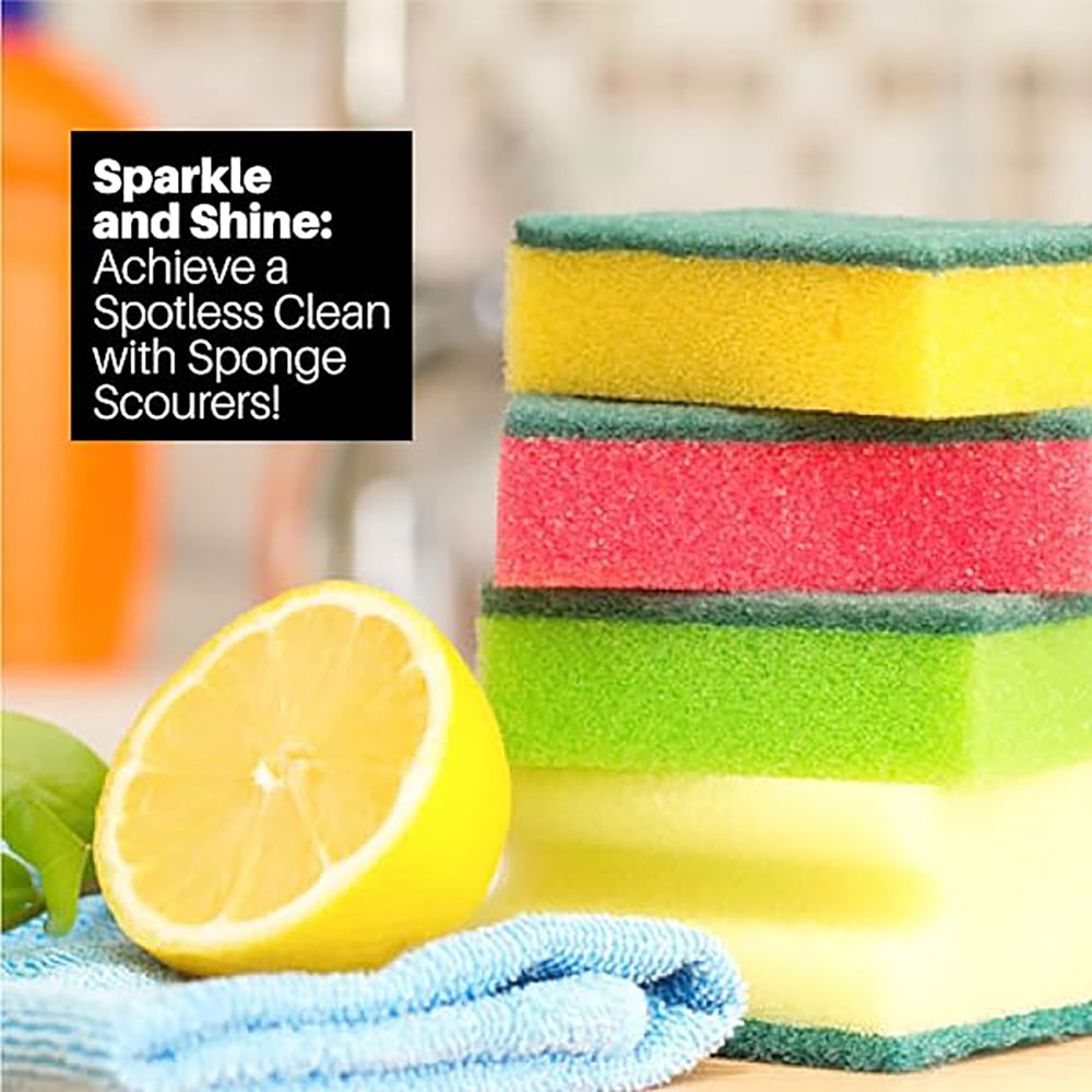 Dlux Sponge Scourers - 10pcs