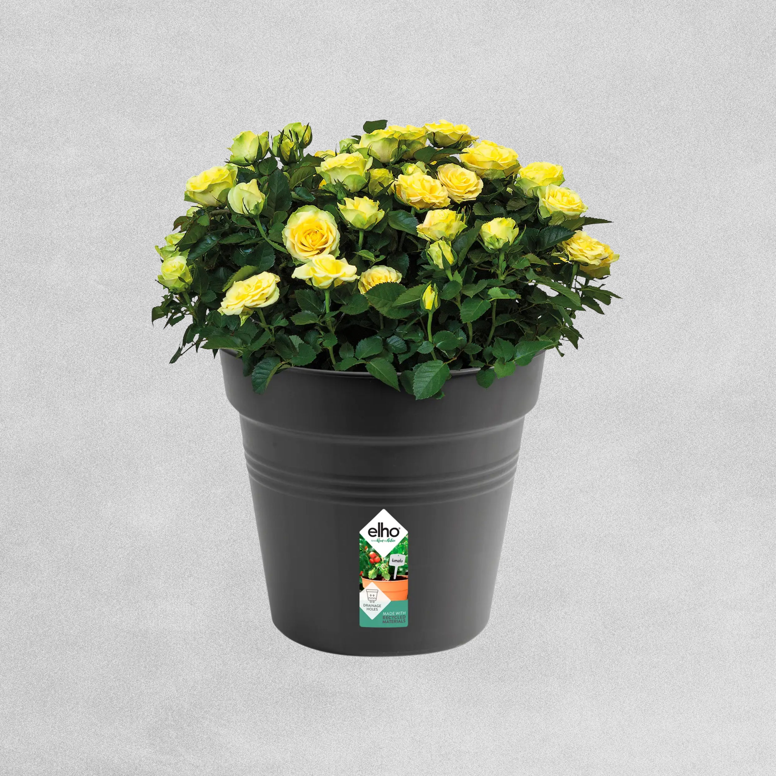 Elho Black Plant Pot - 30cm