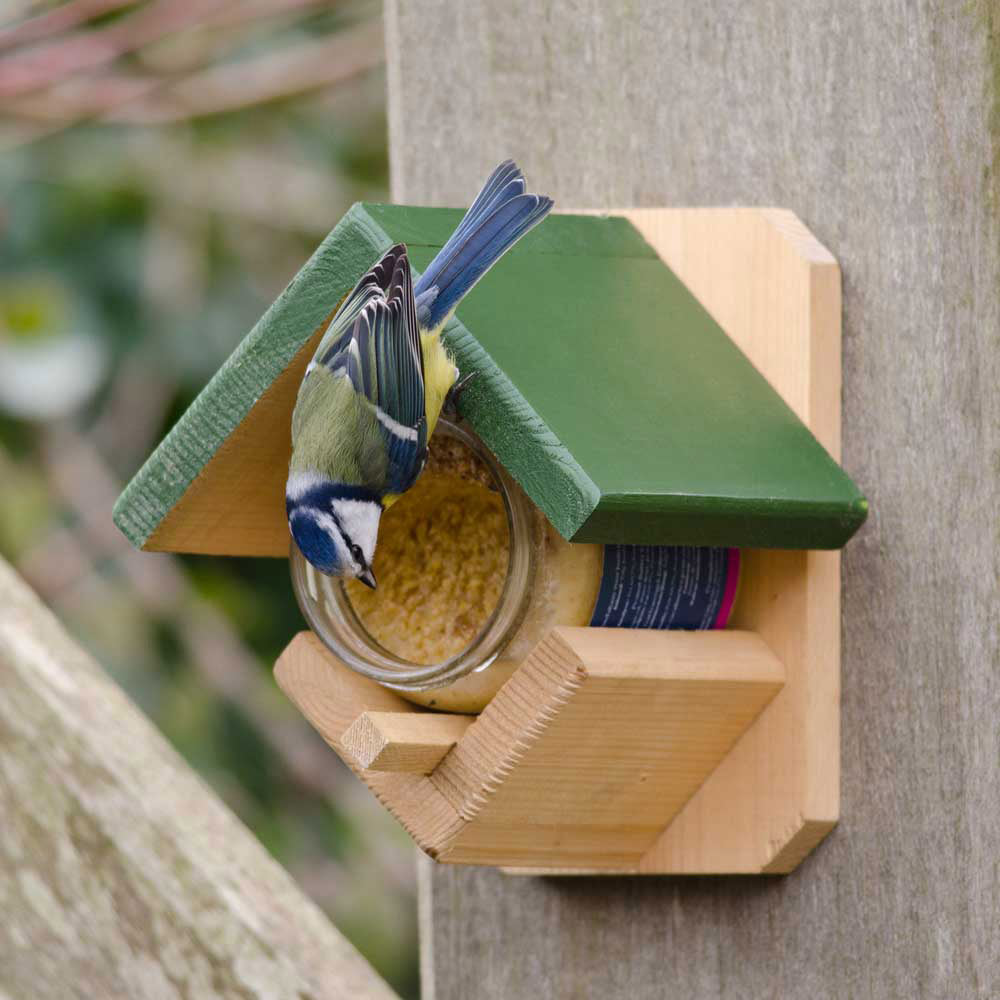 National Trust Original Peanut Butter for Birds