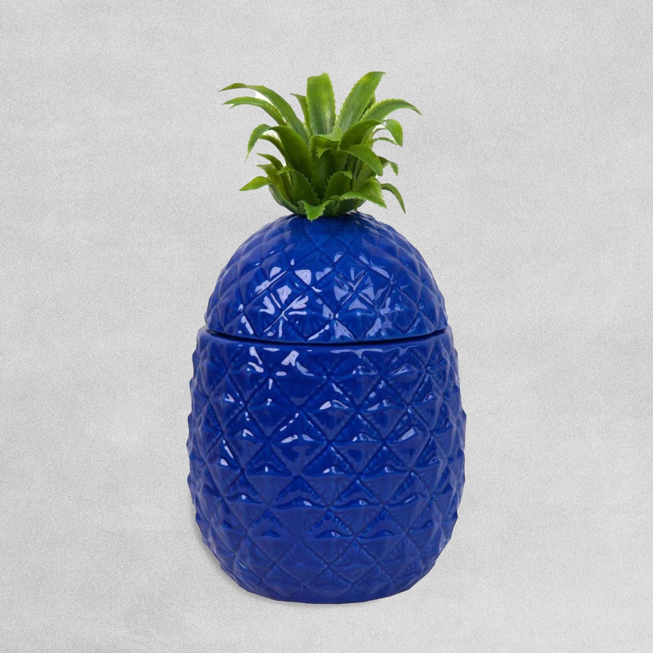 Blue Pineapple Ice Bucket / Storage Container