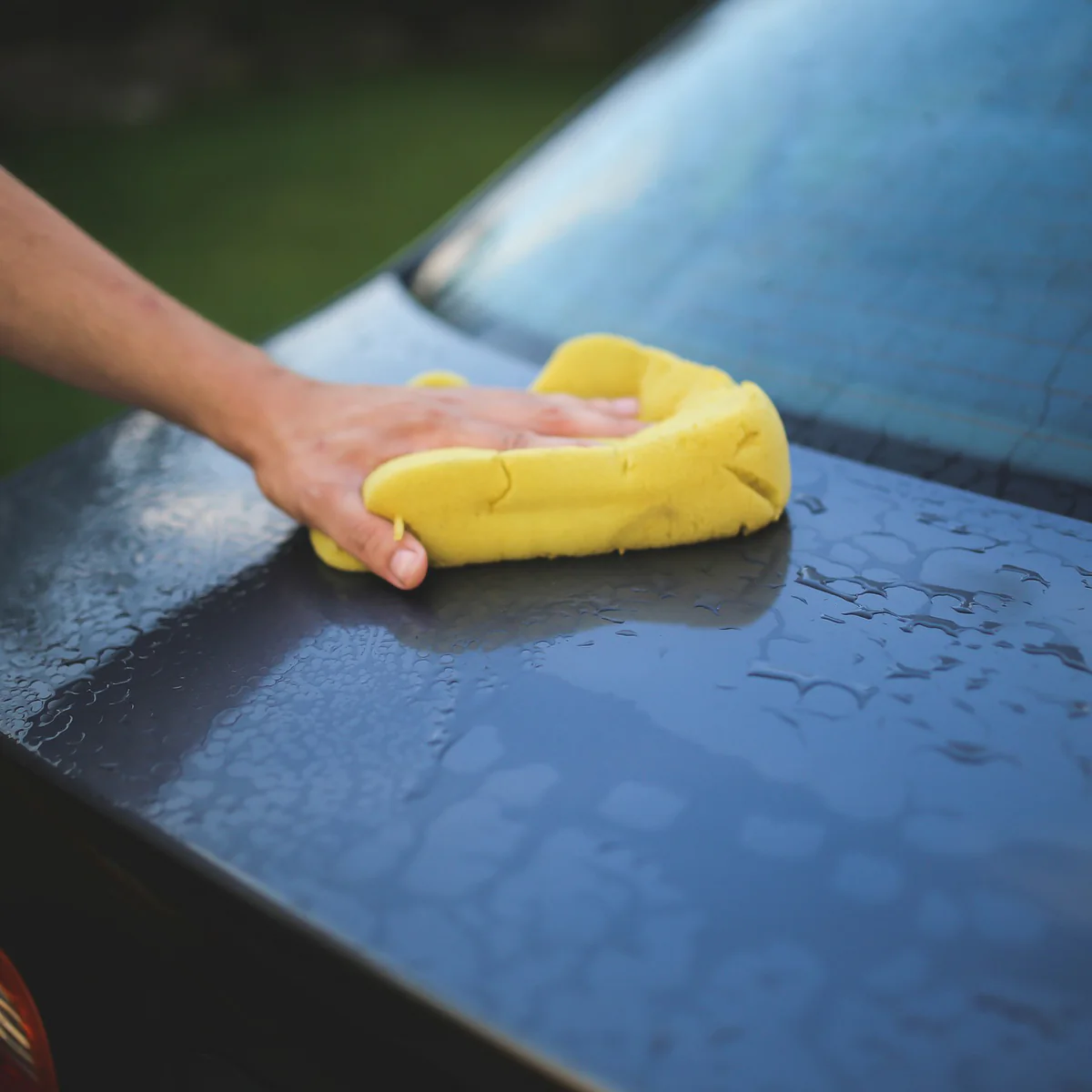 Kent Car Care Car Sponge