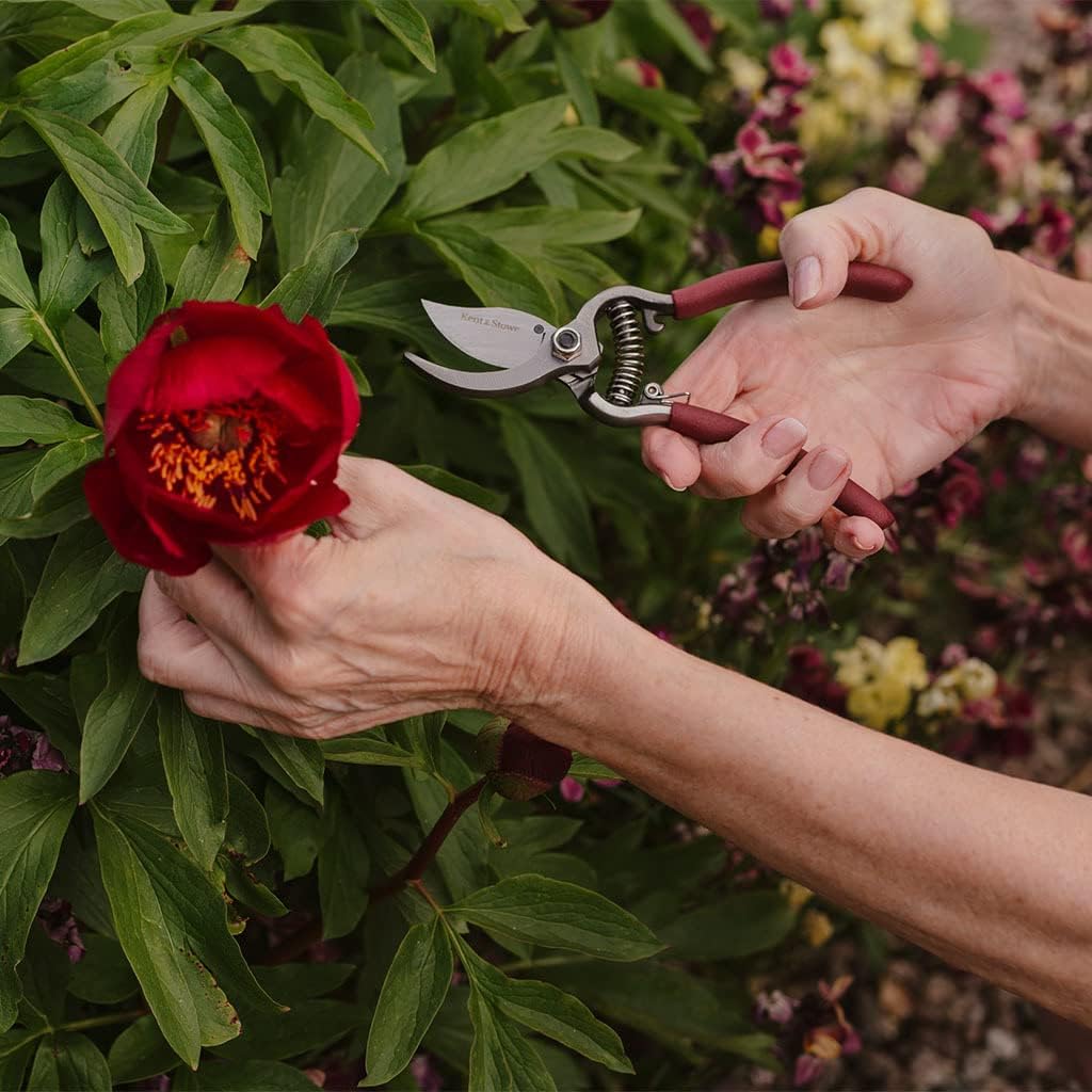 Kent & Stowe Bypass Secateurs