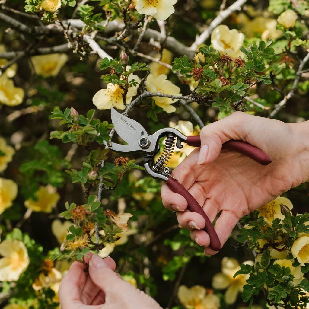 Kent & Stowe Bypass Secateurs