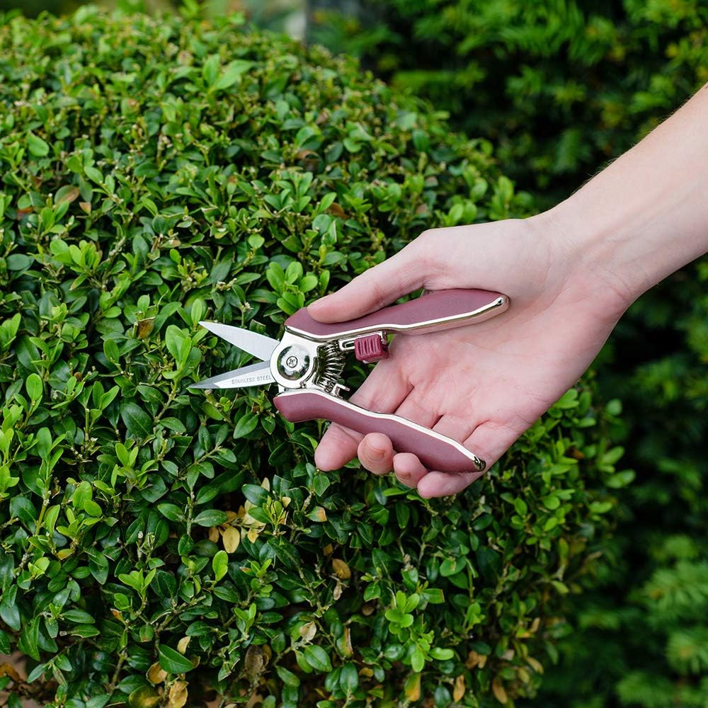 Kent & Stowe Pruning Snips