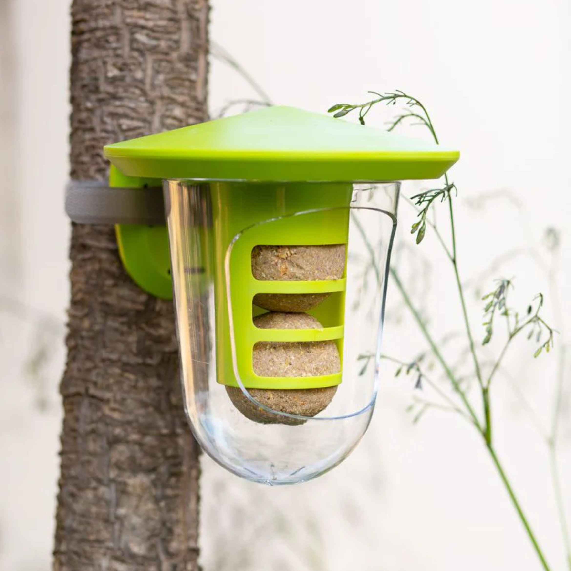 Singing Friend Hello Multi Feeder Bird Feeder