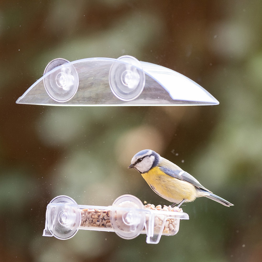 CJ Wildlife Bordeaux Window Bird Feeder