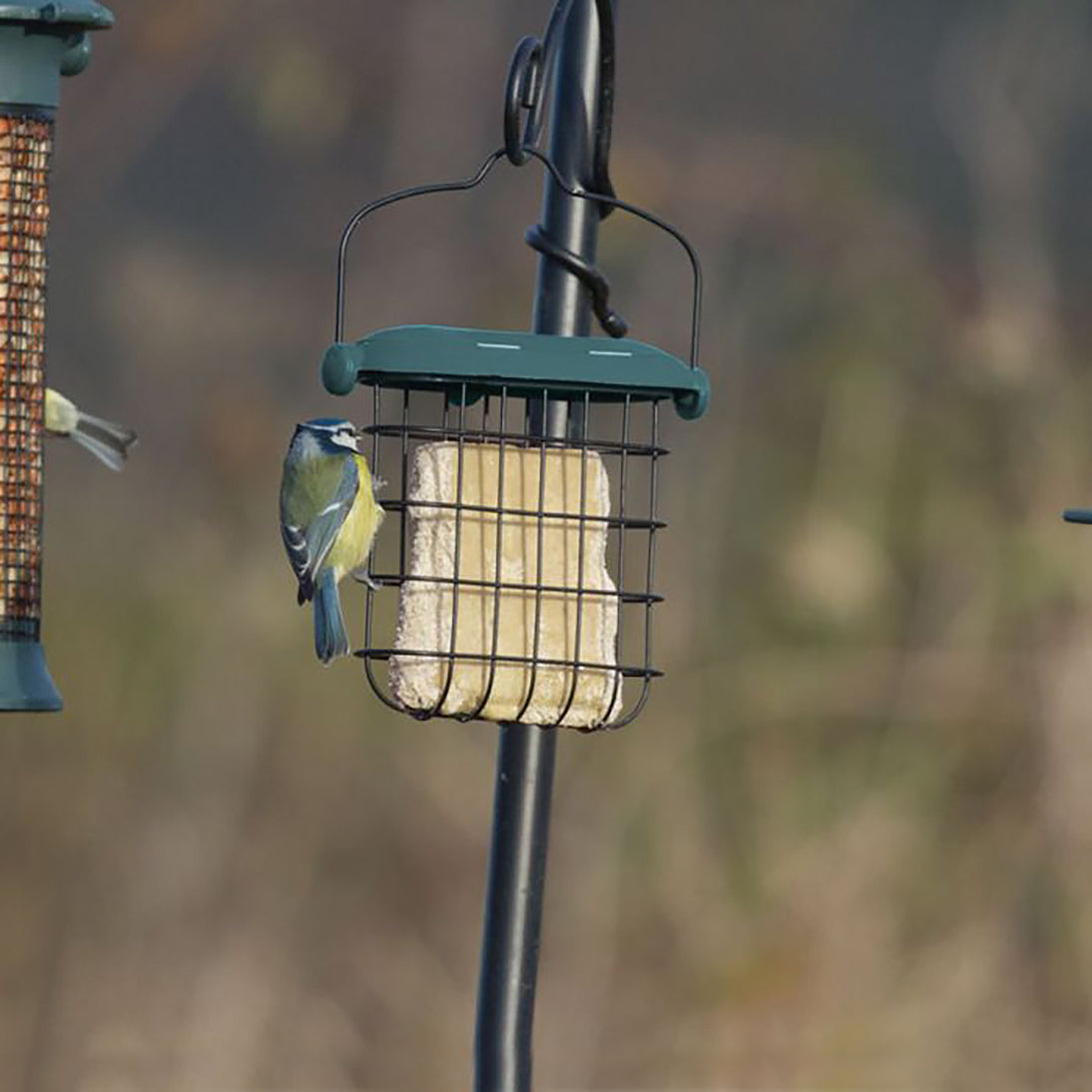 Johnston & Jeff Suet Block Feeder