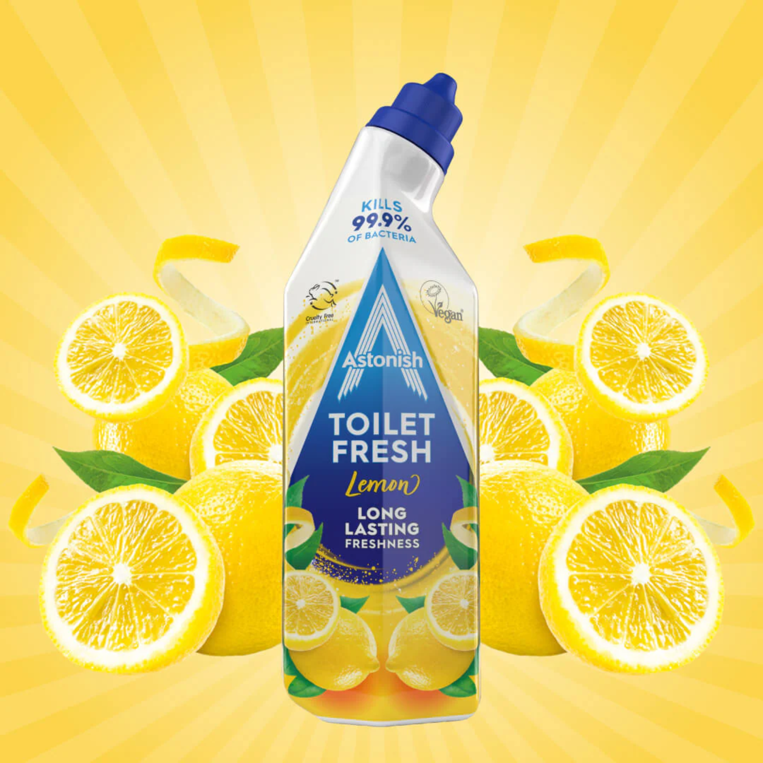 Astonish Toilet Fresh Gel - Various Scents Available