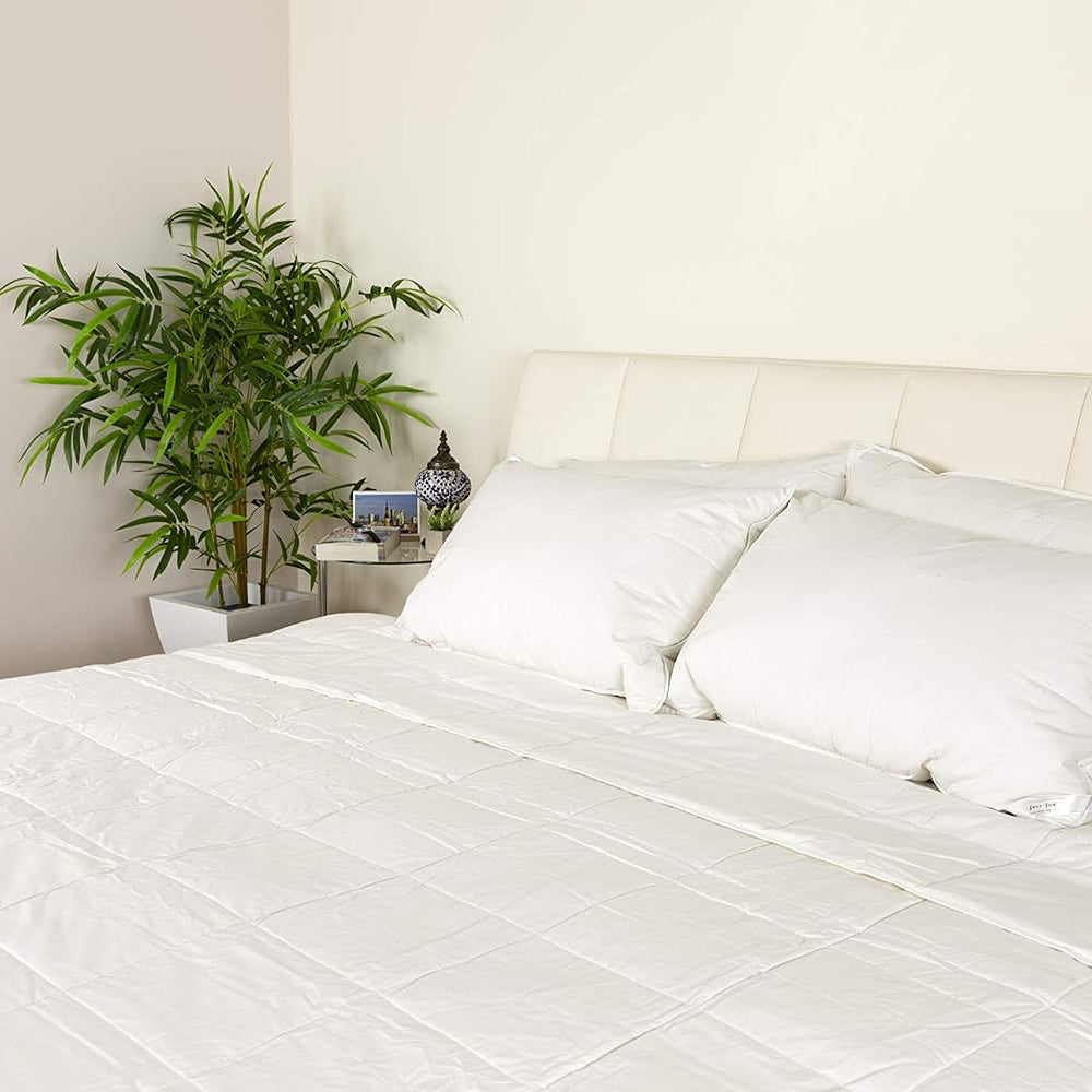 Smart Silk 100% Silk Filled Duvet - various sizes