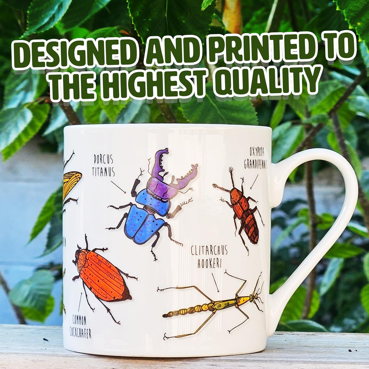 Novelty Rude Mugs - Various Designs Available