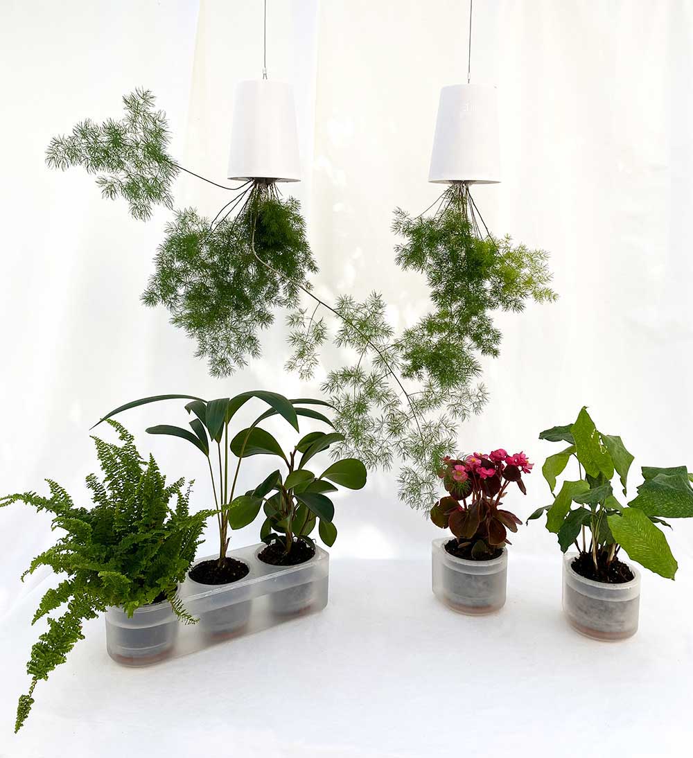 Boskke Self-Watering Planters - various sizes available